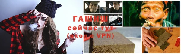 стаф Алексин