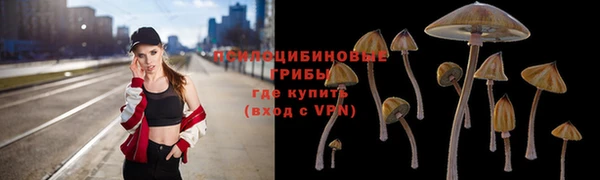2c-b Нефтекумск
