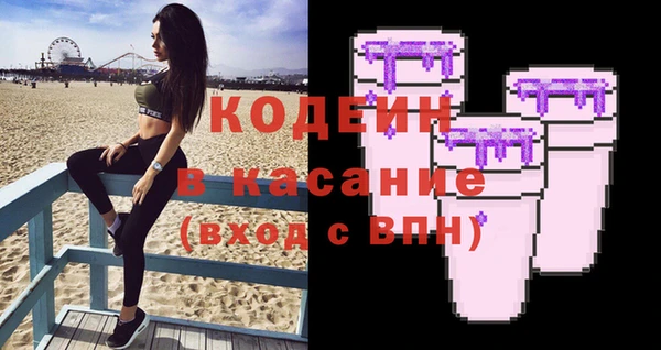 индика Алзамай