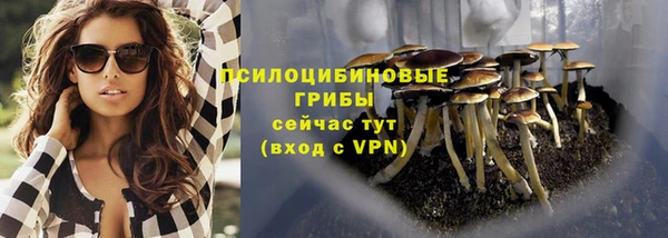 стаф Алексин
